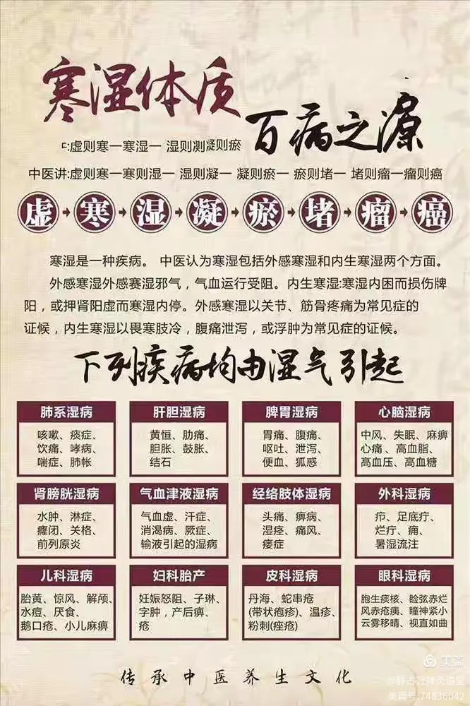 痰湿到底所谓何物！